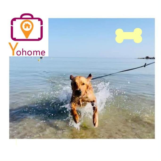 Casale Passalacqua Pesaro By Yohome La Torraccia Ngoại thất bức ảnh
